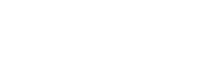 BlackCat ltd